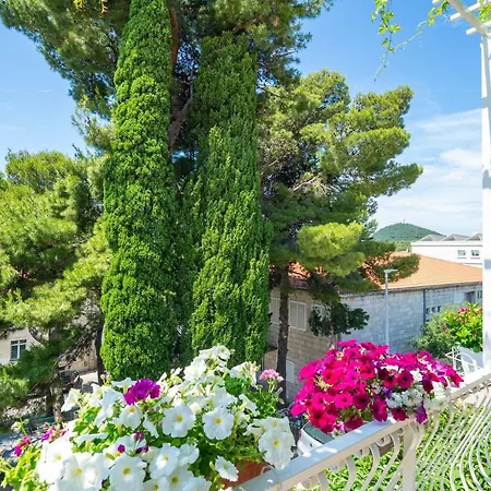 Ivka Apartman Dubrovnik